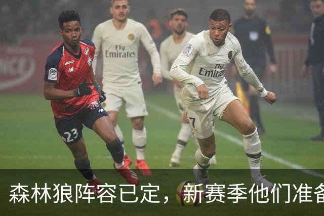 森林狼阵容已定，新赛季他们准备大展宏图！